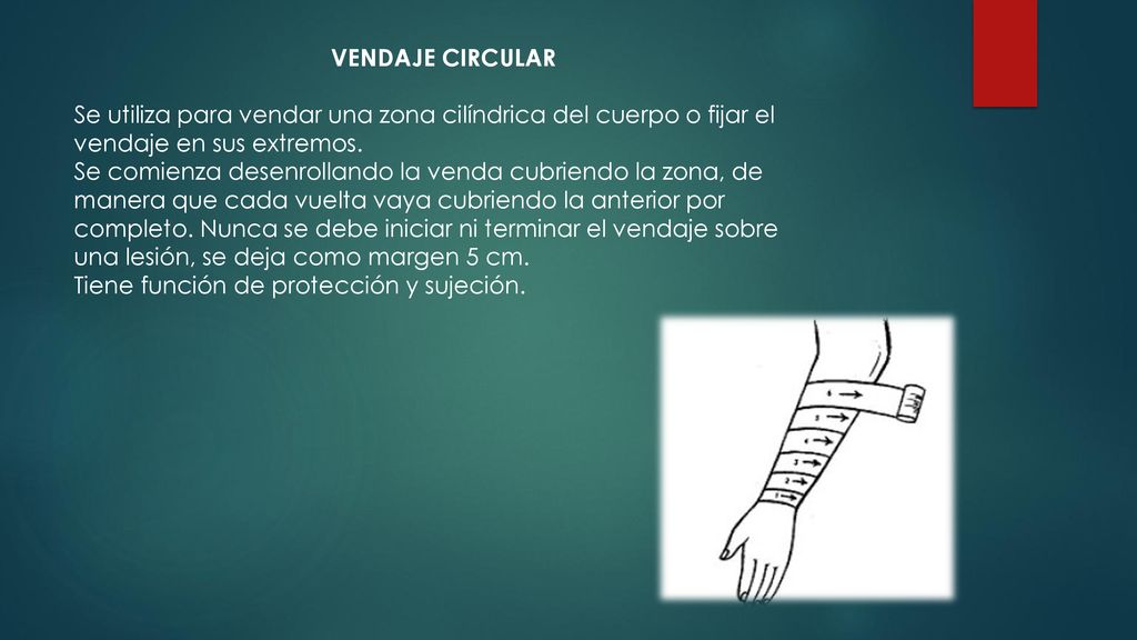 VENDAJE CIRCULAR Se utiliza para vendar una zona cilíndrica del cuerpo o fijar el vendaje en sus extremos.