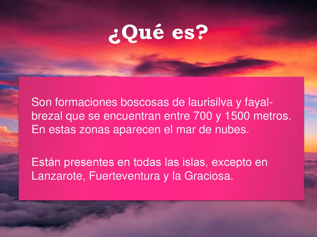 ¿Qué es Son formaciones boscosas de laurisilva y fayal- brezal que se encuentran entre 700 y 1500 metros. En estas zonas aparecen el mar de nubes.