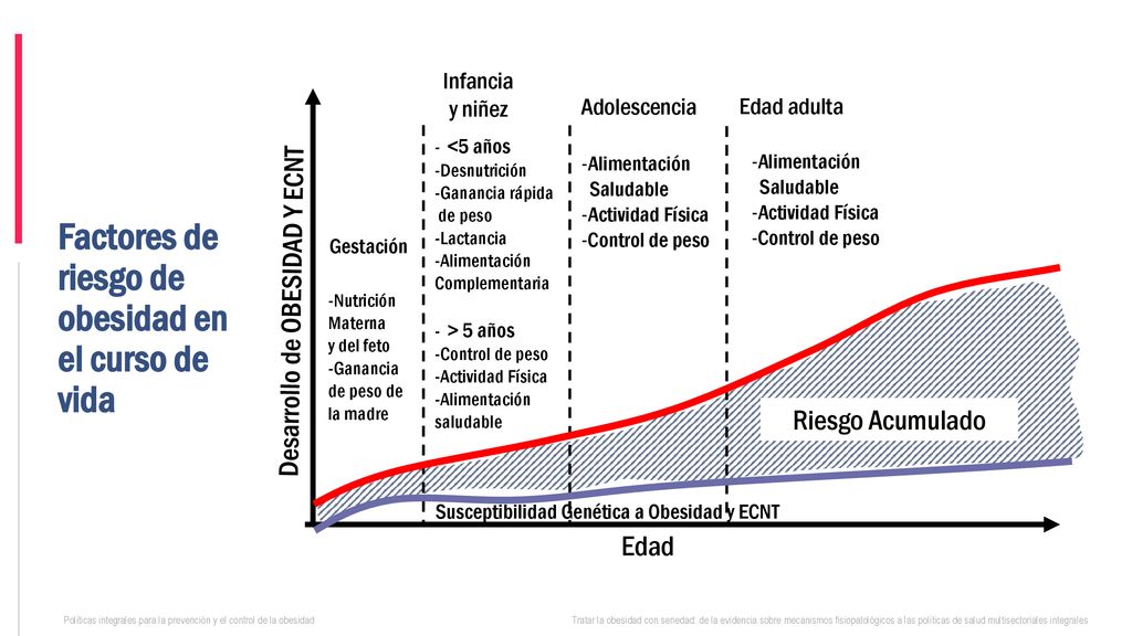 Factores de riesgo de obesidad en el curso de vida