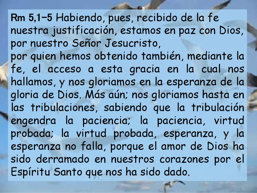 Rm 5,1-5 Habiendo, pues, recibido de la fe nuestra justificación, estamos en paz con Dios, por nuestro Señor Jesucristo,