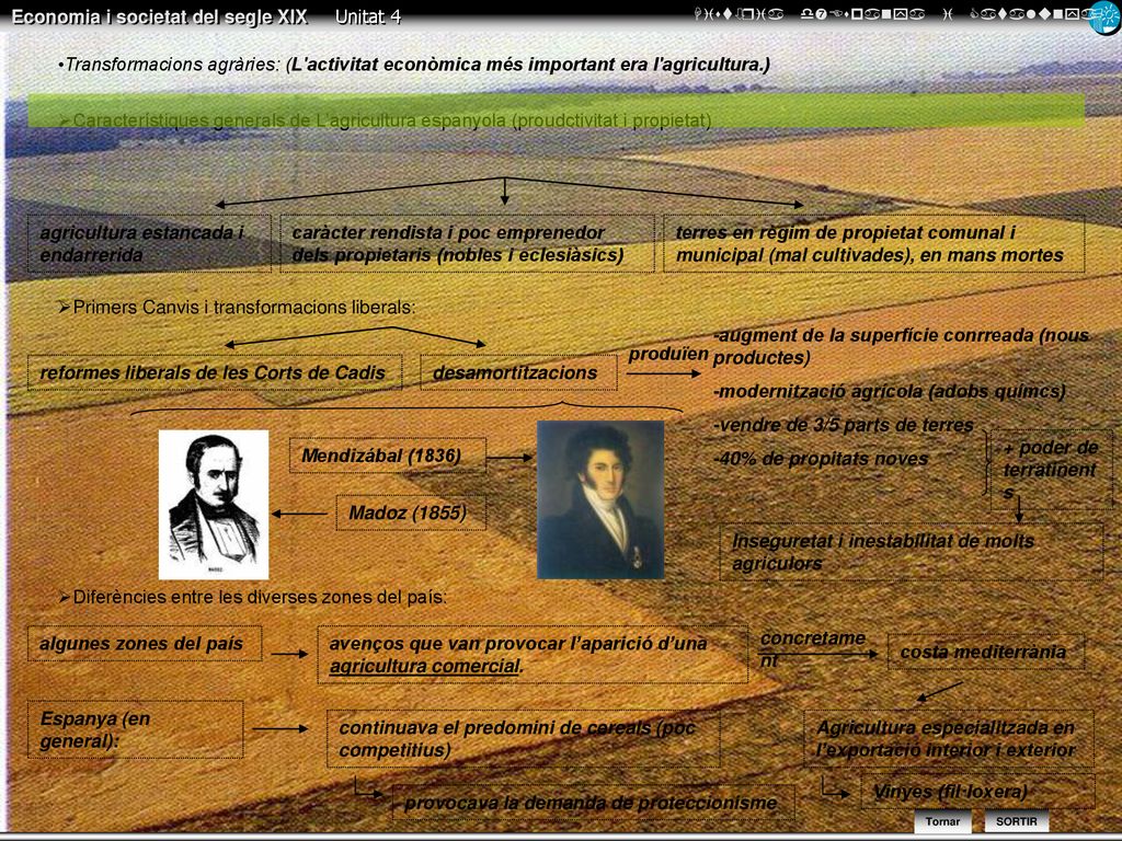 Transformacions agràries: (L activitat econòmica més important era l agricultura.)