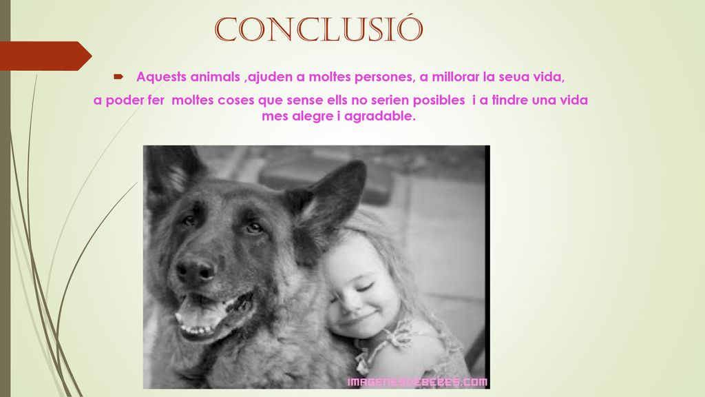 Aquests animals ,ajuden a moltes persones, a millorar la seua vida,