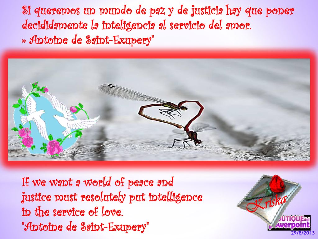 Si queremos un mundo de paz y de justicia hay que poner decididamente la inteligencia al servicio del amor.