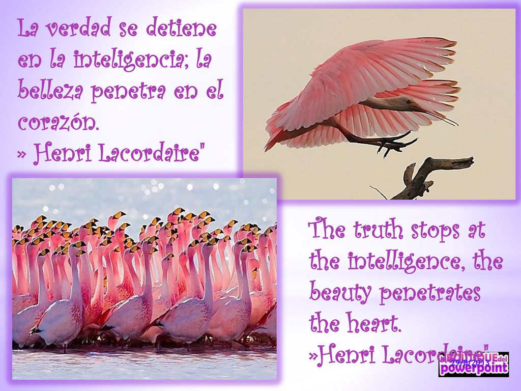 The truth stops at the intelligence, the beauty penetrates the heart.