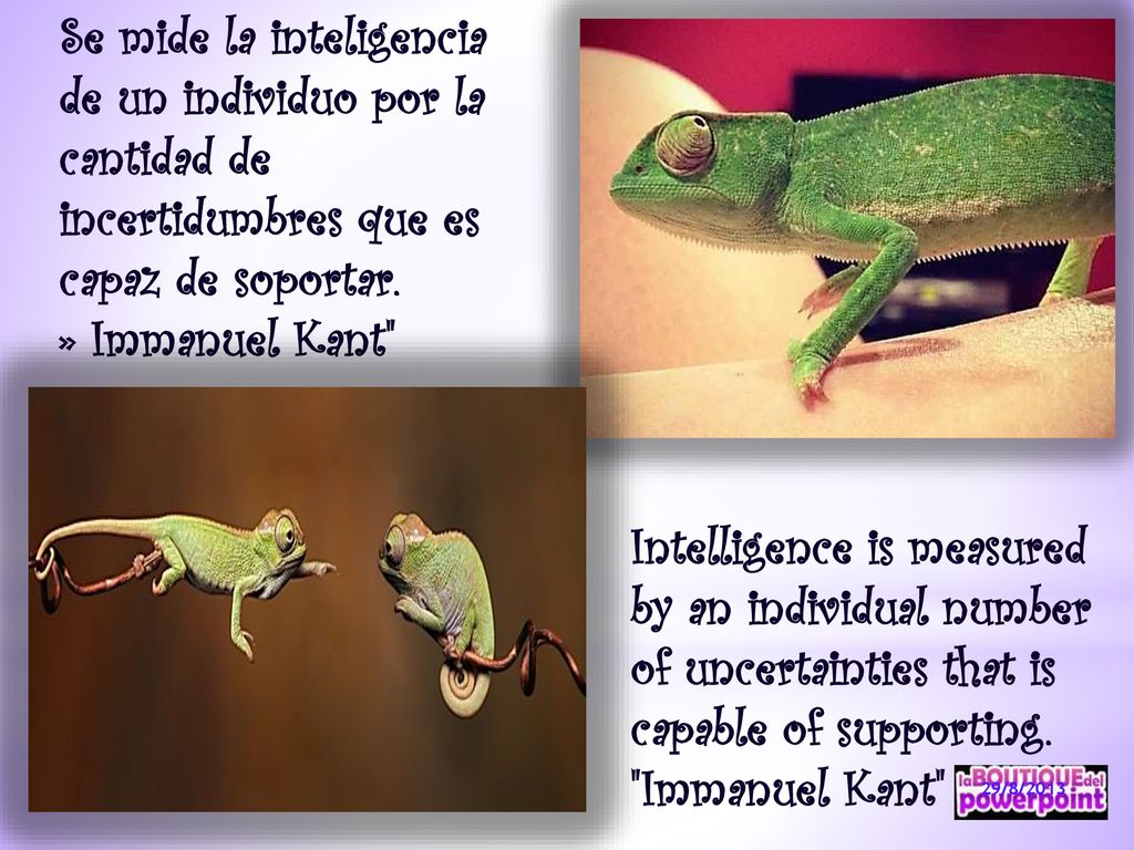 Se mide la inteligencia de un individuo por la cantidad de incertidumbres que es capaz de soportar.