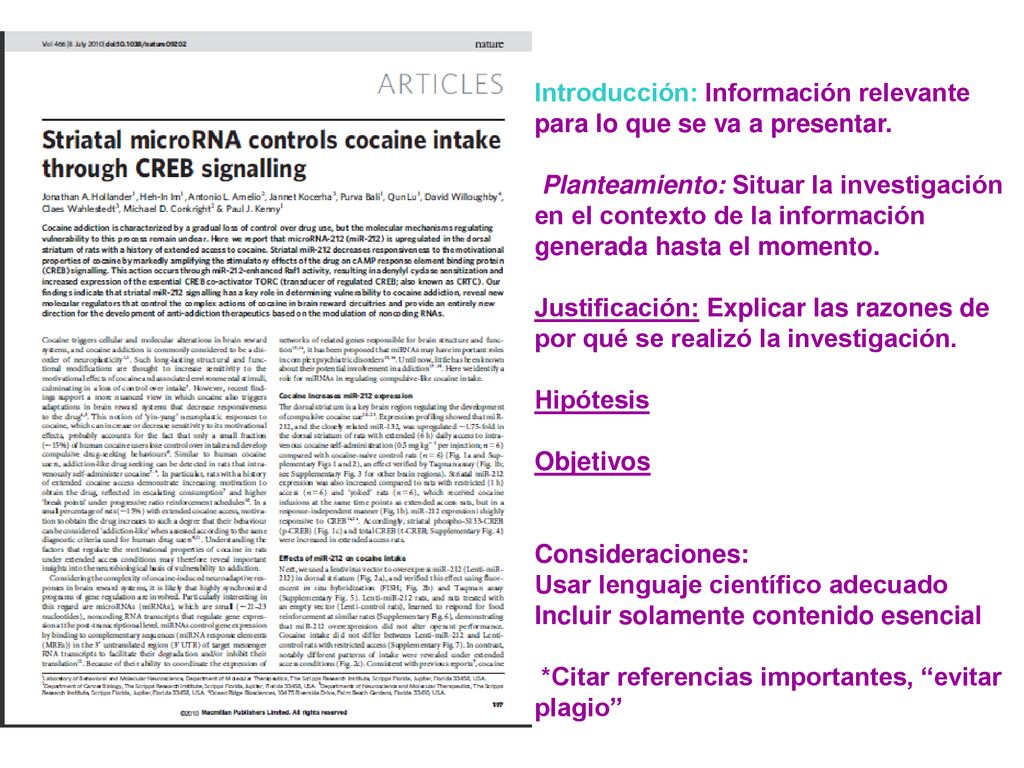 Introducción: Información relevante para lo que se va a presentar.