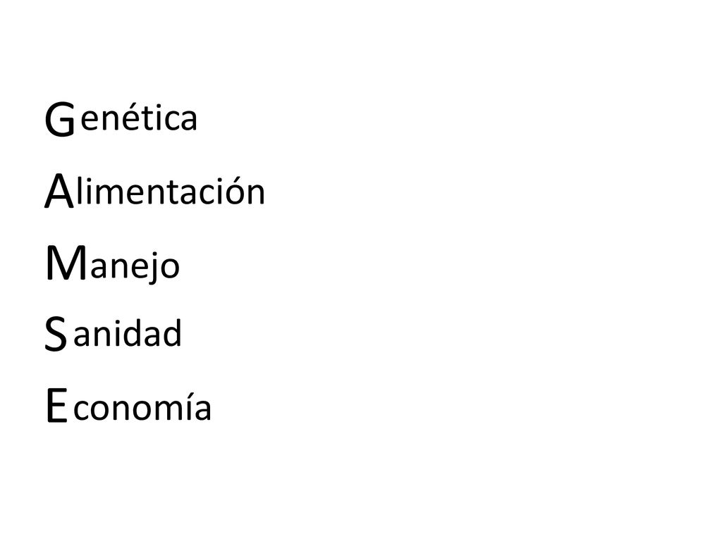 G A M S E enética limentación anejo anidad conomía