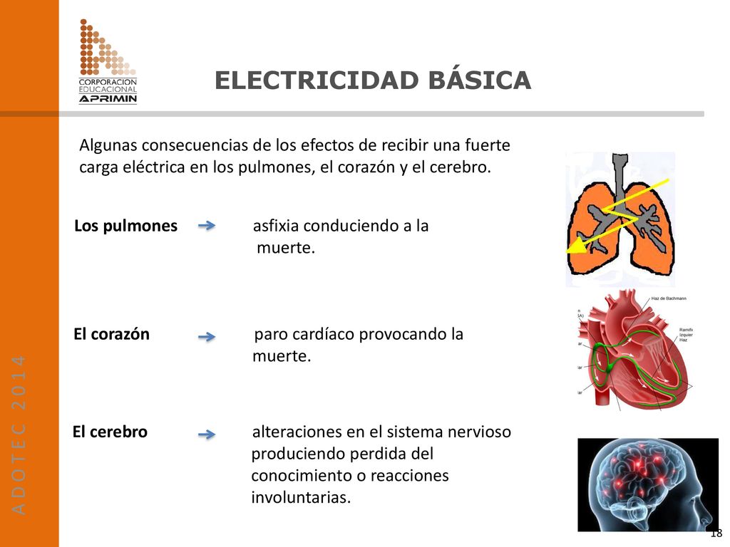 Algunas consecuencias de los efectos de recibir una fuerte carga eléctrica en los pulmones, el corazón y el cerebro.