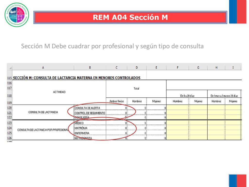 REM A04 Sección M Sección M Debe cuadrar por profesional y según tipo de consulta