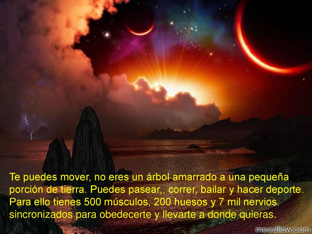 Te puedes mover, no eres un árbol amarrado a una pequeña porción de tierra.