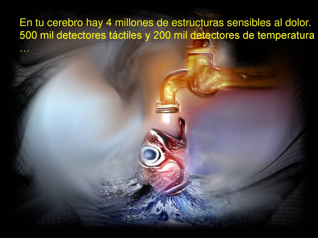 En tu cerebro hay 4 millones de estructuras sensibles al dolor