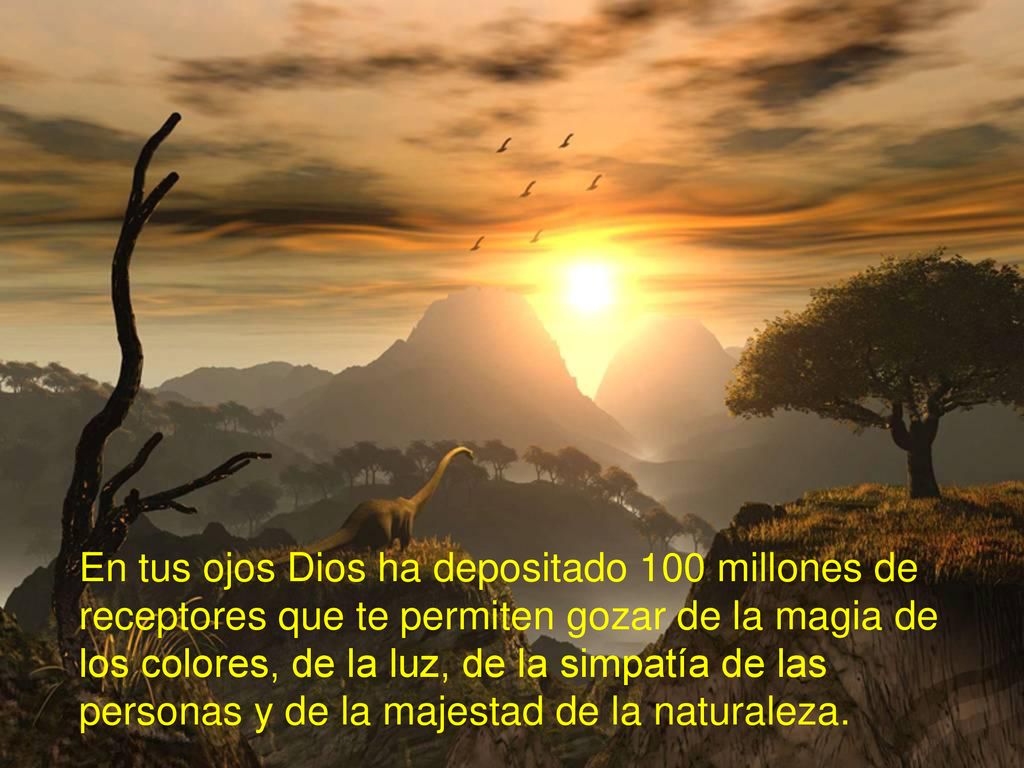 En tus ojos Dios ha depositado 100 millones de receptores que te permiten gozar de la magia de los colores, de la luz, de la simpatía de las personas y de la majestad de la naturaleza.