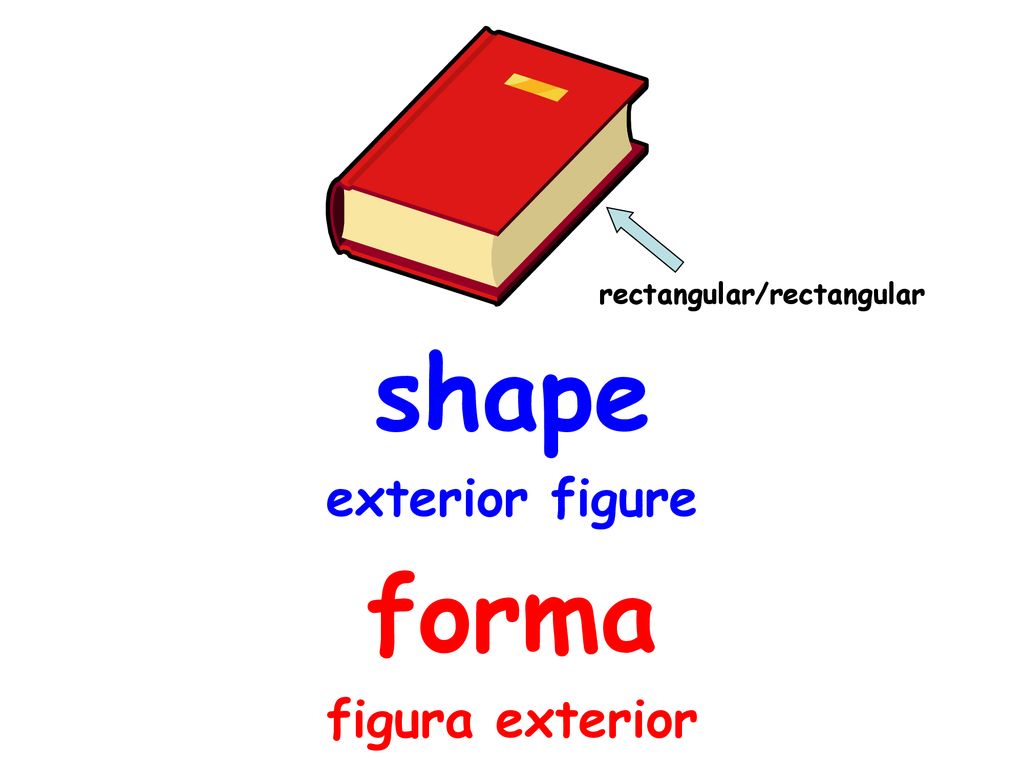 shape exterior figure forma figura exterior rectangular/rectangular