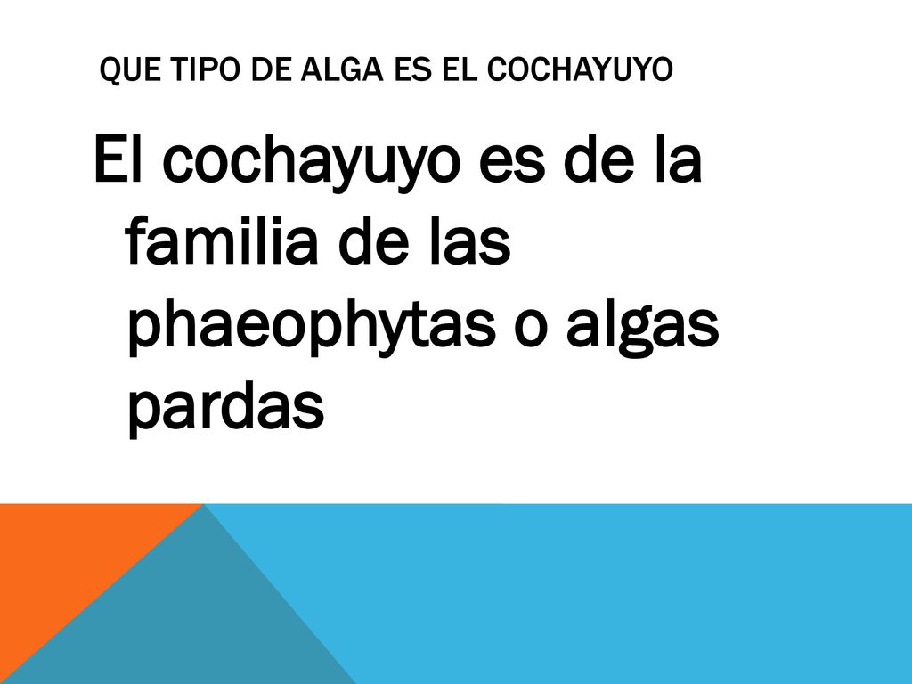 Que tipo de alga es el cochayuyo