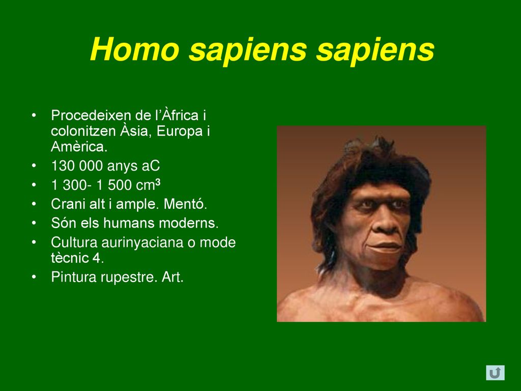 Homo sapiens sapiens Procedeixen de l’Àfrica i colonitzen Àsia, Europa i Amèrica anys aC.