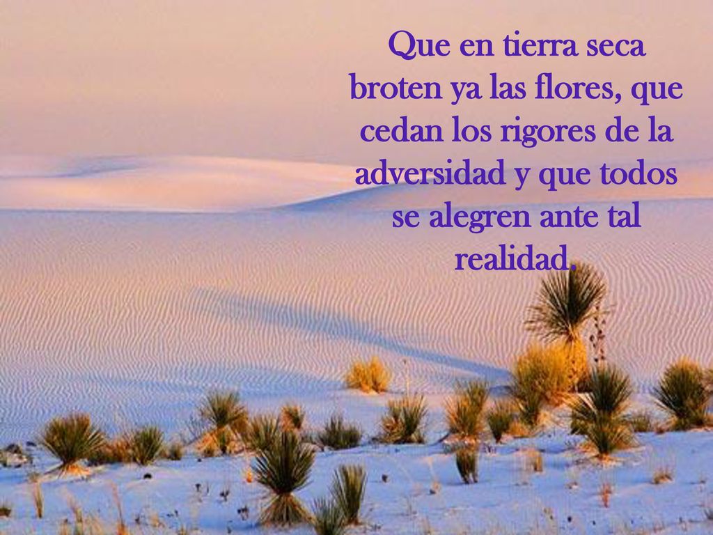 Que en tierra seca broten ya las flores, que cedan los rigores de la adversidad y que todos se alegren ante tal realidad.