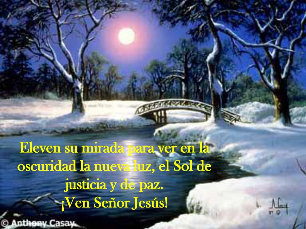 Eleven su mirada para ver en la oscuridad la nueva luz, el Sol de justicia y de paz.
