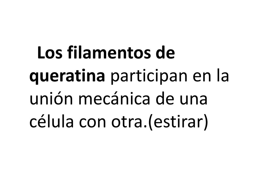 Los filamentos de queratina participan en la unión mecánica de una célula con otra.(estirar)