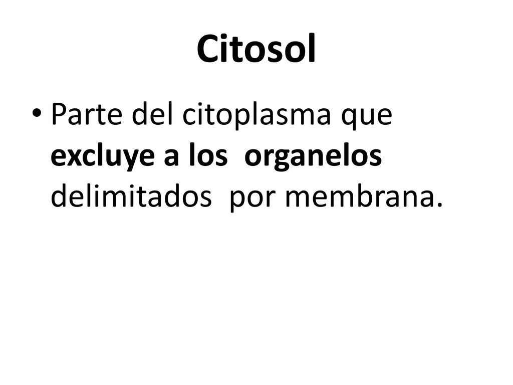 Citosol Parte del citoplasma que excluye a los organelos delimitados por membrana.