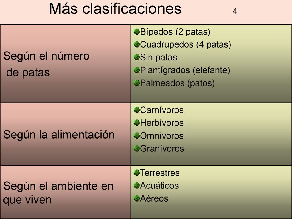 Más clasificaciones 4 Según el número de patas Según la alimentación