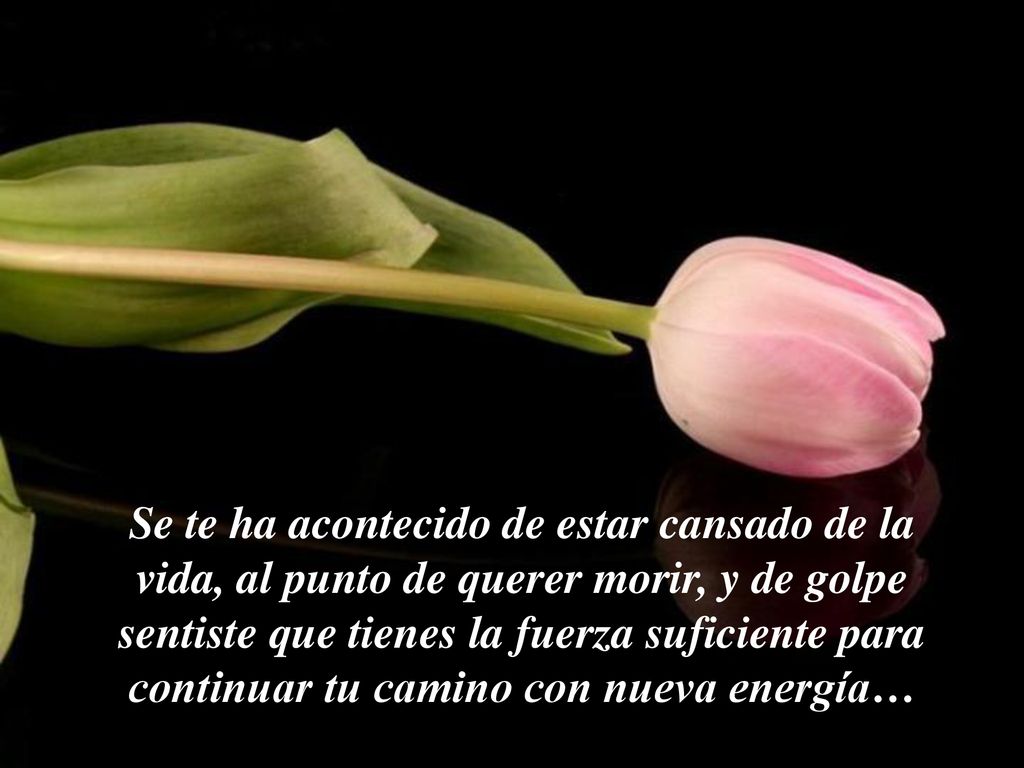 Se te ha acontecido de estar cansado de la vida, al punto de querer morir, y de golpe sentiste que tienes la fuerza suficiente para continuar tu camino con nueva energía…