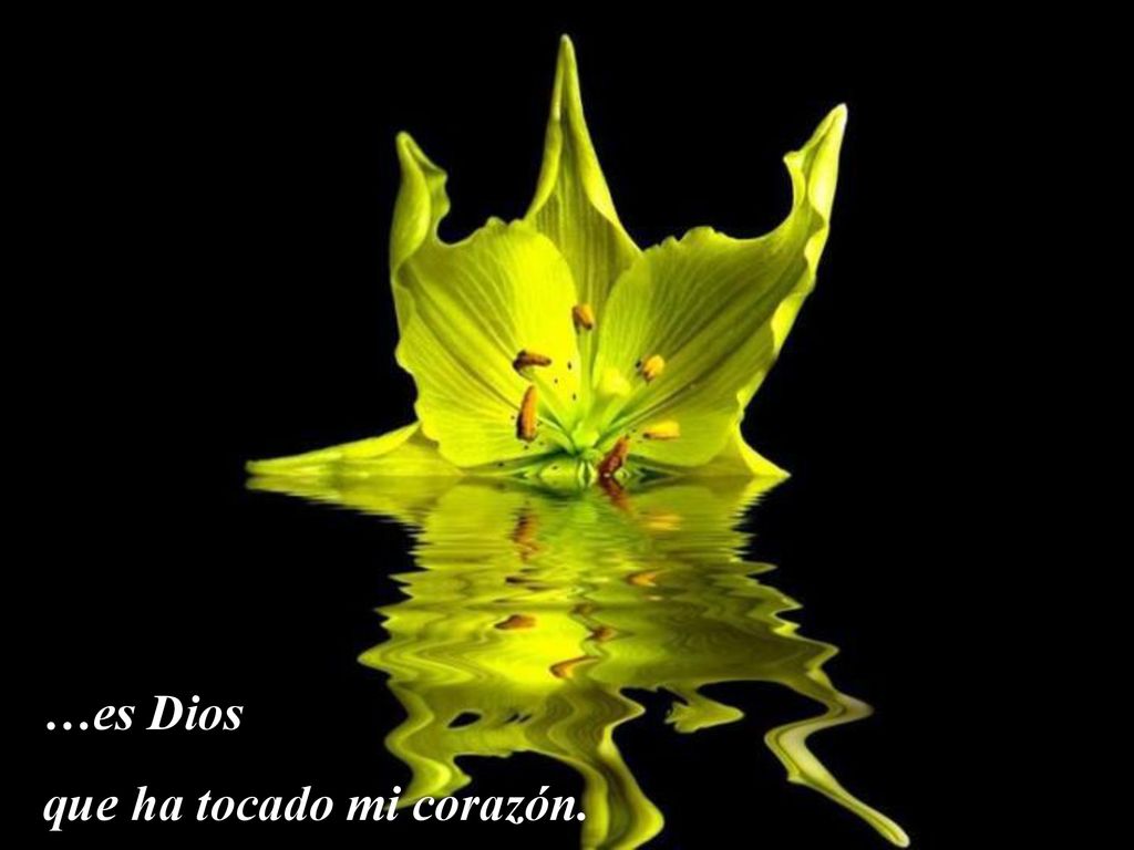 …es Dios que ha tocado mi corazón.