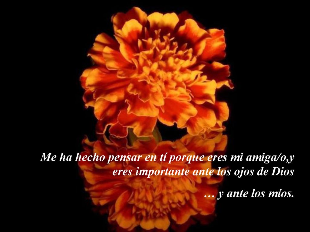 Me ha hecho pensar en tí porque eres mi amiga/o,y eres importante ante los ojos de Dios