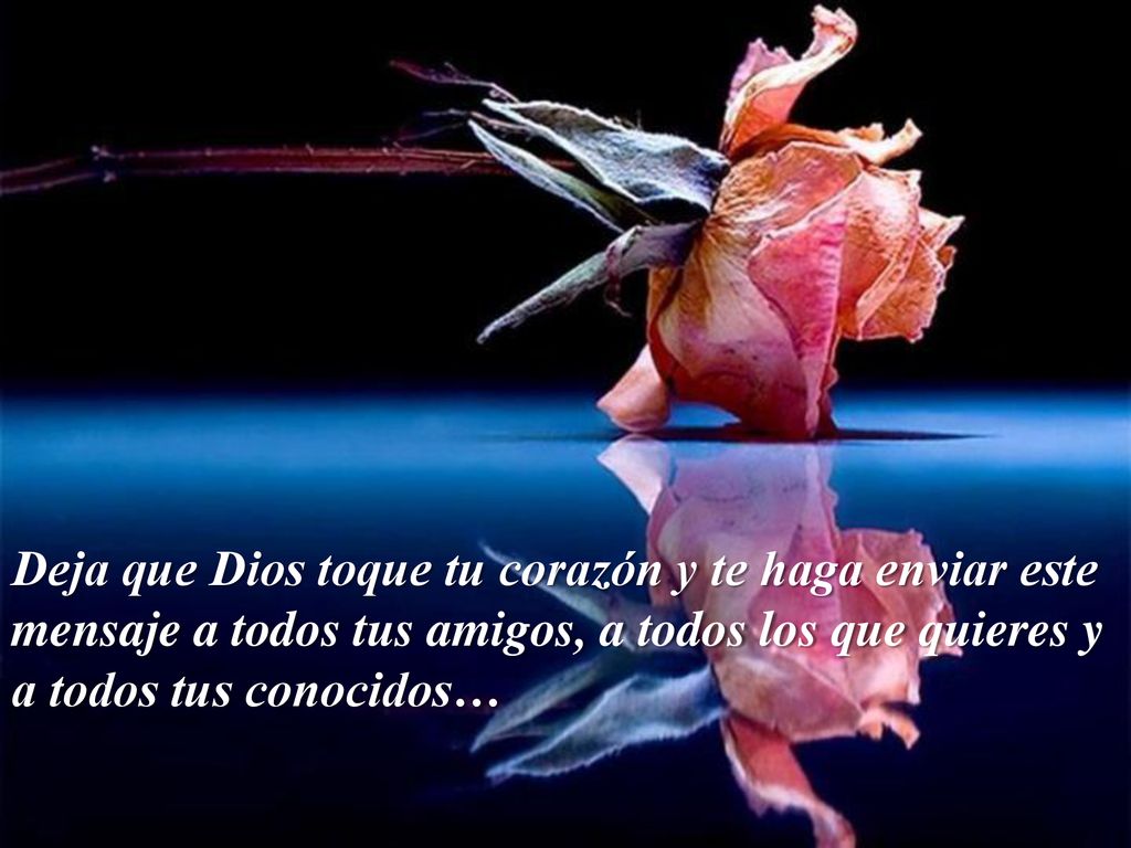 Deja que Dios toque tu corazón y te haga enviar este mensaje a todos tus amigos, a todos los que quieres y a todos tus conocidos…