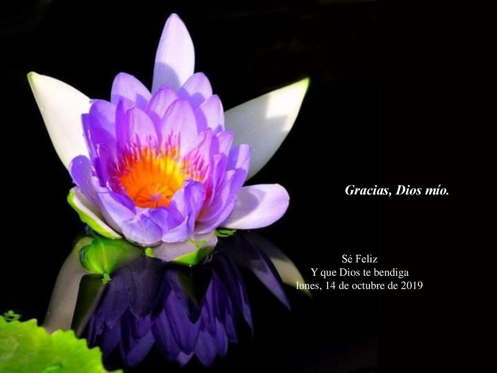 Gracias, Dios mío. Sé Feliz Y que Dios te bendiga