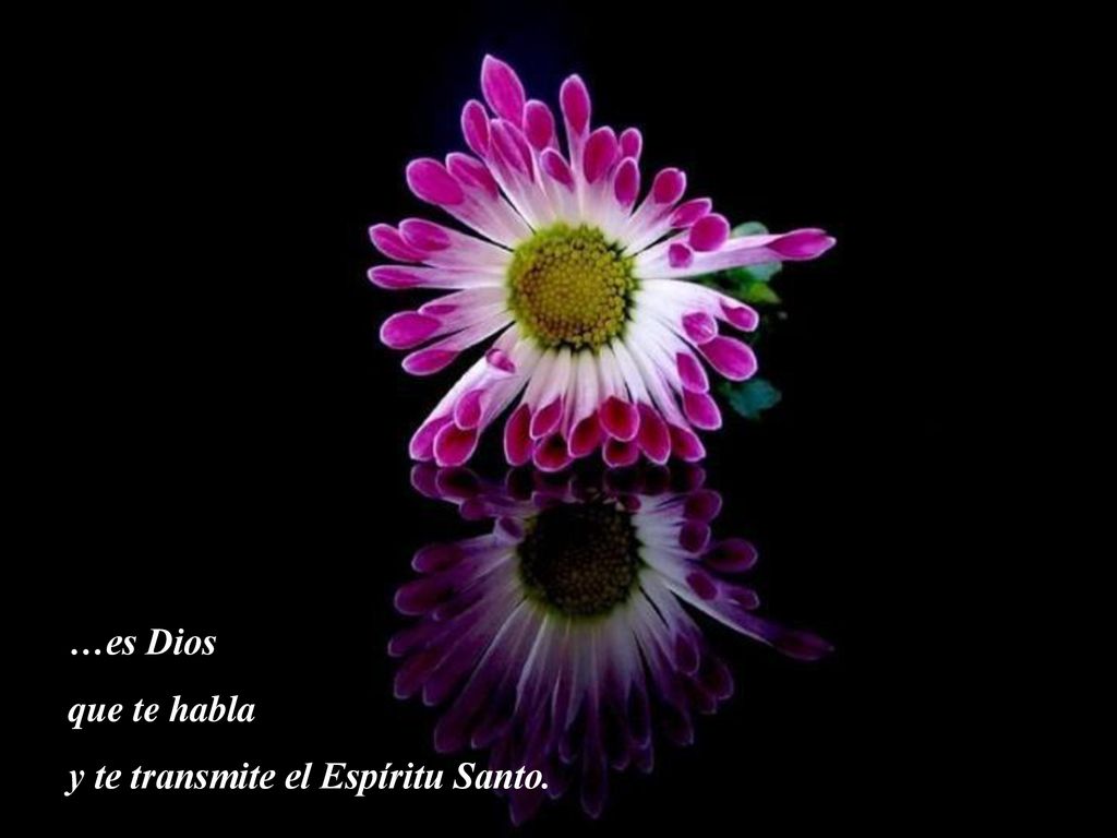 …es Dios que te habla y te transmite el Espíritu Santo.