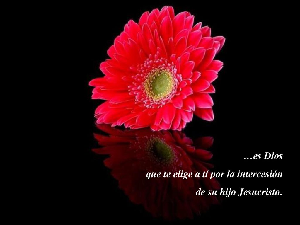 …es Dios que te elige a tí por la intercesión de su hijo Jesucristo.