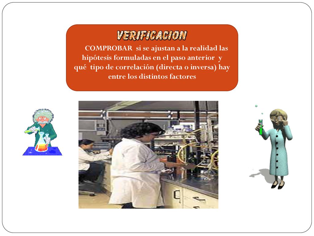 COMPROBAR si se ajustan a la realidad las hipótesis formuladas en el paso anterior y qué tipo de correlación (directa o inversa) hay entre los distintos factores