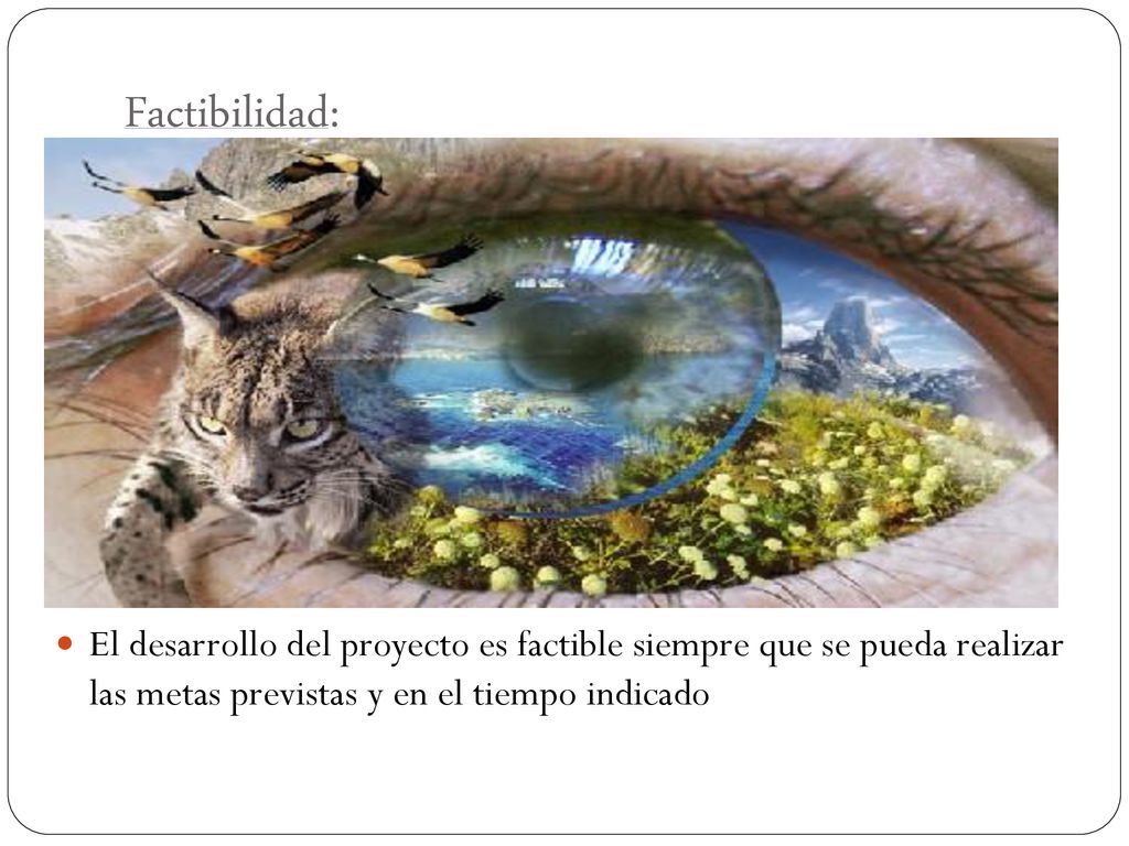 Factibilidad: El desarrollo del proyecto es factible siempre que se pueda realizar las metas previstas y en el tiempo indicado.