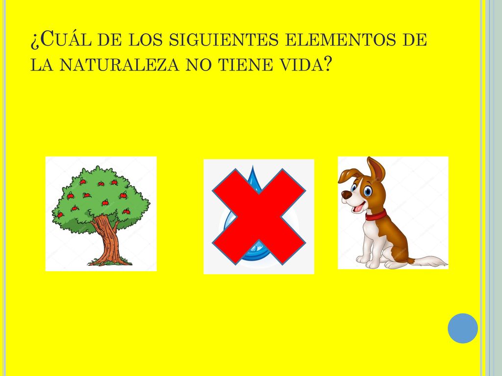 ¿Cuál de los siguientes elementos de la naturaleza no tiene vida