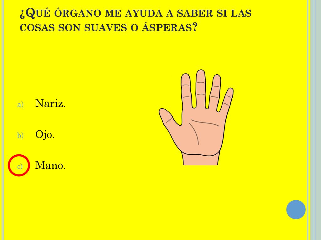 ¿Qué órgano me ayuda a saber si las cosas son suaves o ásperas