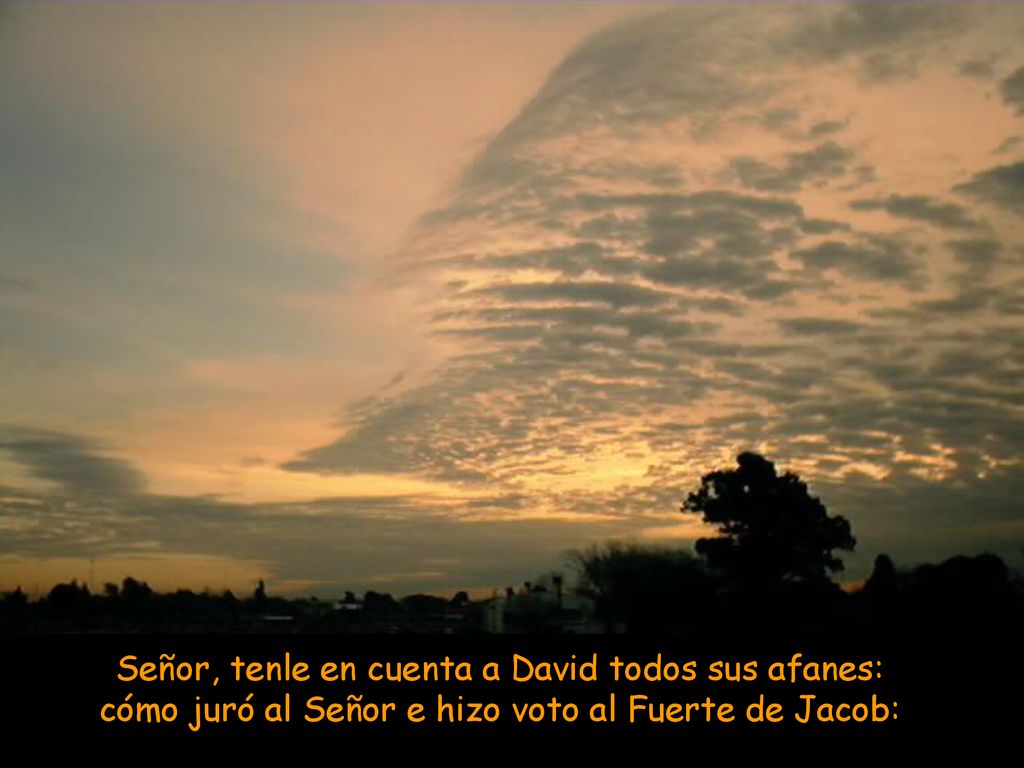 Señor, tenle en cuenta a David todos sus afanes: cómo juró al Señor e hizo voto al Fuerte de Jacob: