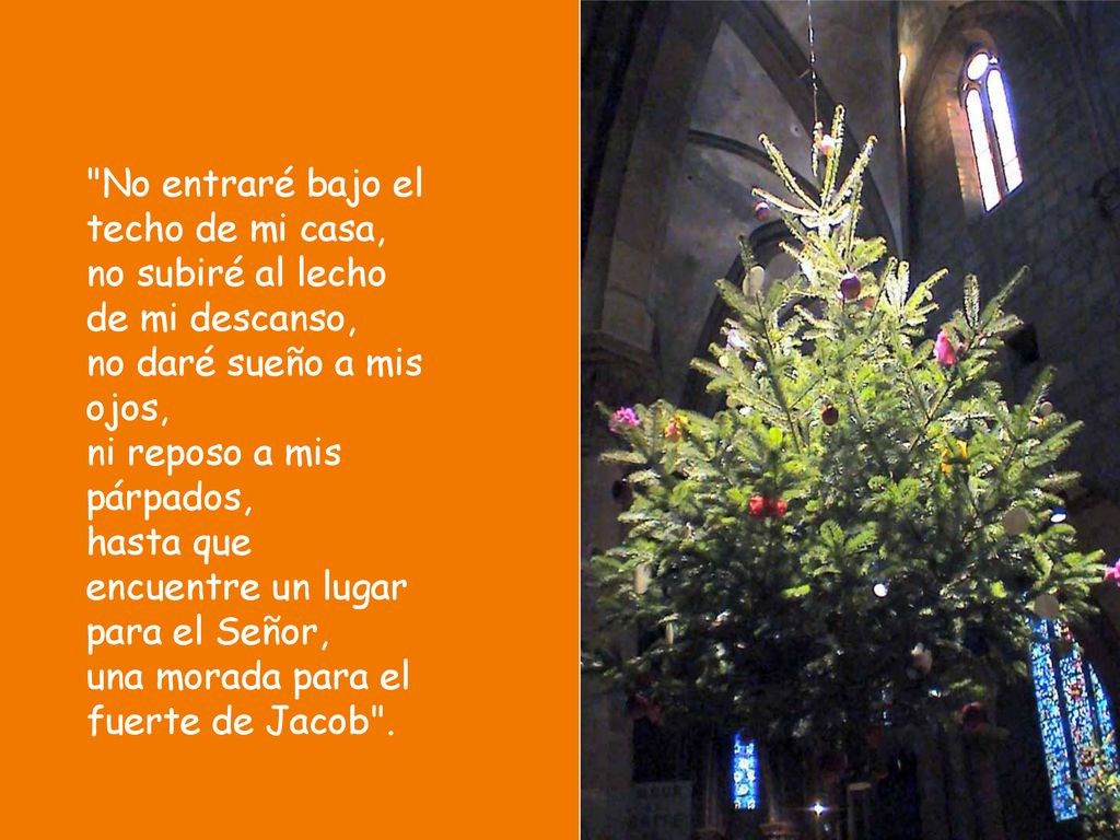 No entraré bajo el techo de mi casa, no subiré al lecho de mi descanso, no daré sueño a mis ojos, ni reposo a mis párpados, hasta que encuentre un lugar para el Señor, una morada para el fuerte de Jacob .