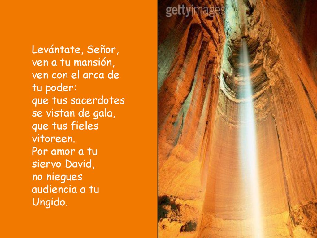 Levántate, Señor, ven a tu mansión, ven con el arca de tu poder: que tus sacerdotes se vistan de gala, que tus fieles vitoreen.