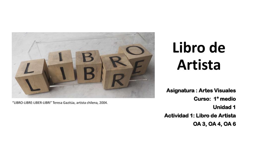 Libro de Artista Asignatura : Artes Visuales Curso: 1° medio Unidad 1