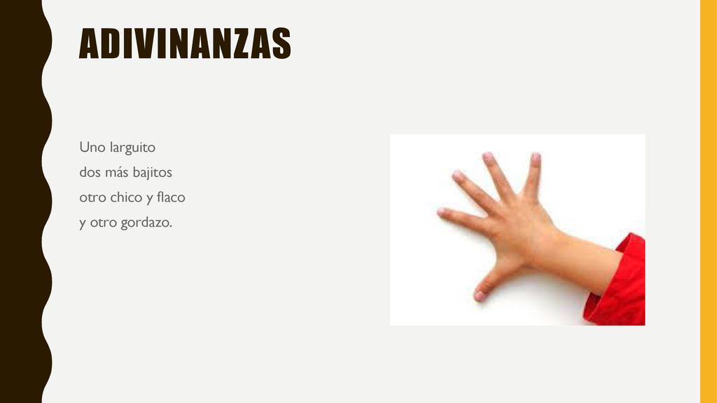 Adivinanzas Uno larguito dos más bajitos otro chico y flaco y otro gordazo.