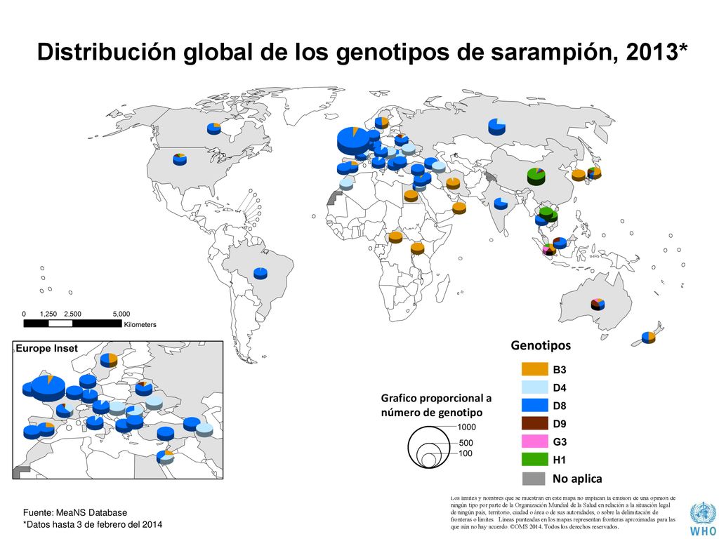 Distribución global de los genotipos de sarampión, 2013*