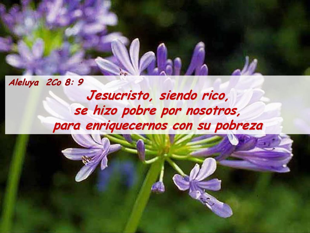 Aleluya 2Co 8: 9 Jesucristo, siendo rico, se hizo pobre por nosotros, para enriquecernos con su pobreza.