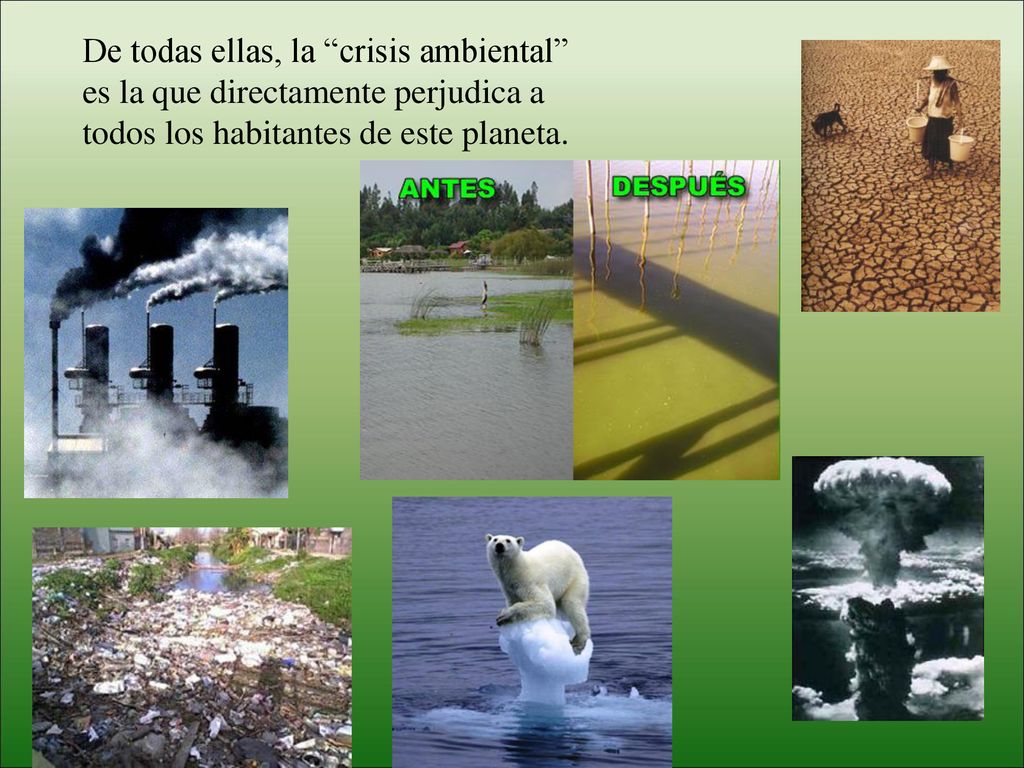 De todas ellas, la crisis ambiental es la que directamente perjudica a todos los habitantes de este planeta.
