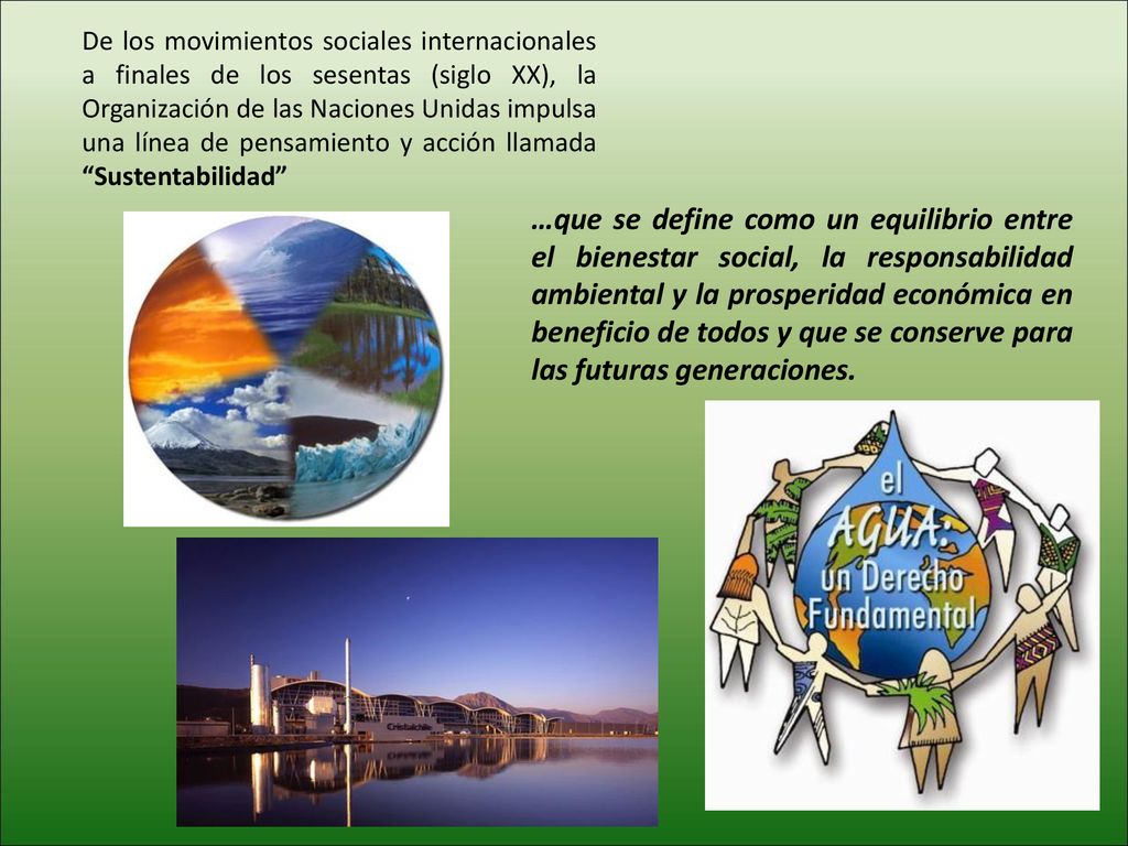 De los movimientos sociales internacionales a finales de los sesentas (siglo XX), la Organización de las Naciones Unidas impulsa una línea de pensamiento y acción llamada Sustentabilidad