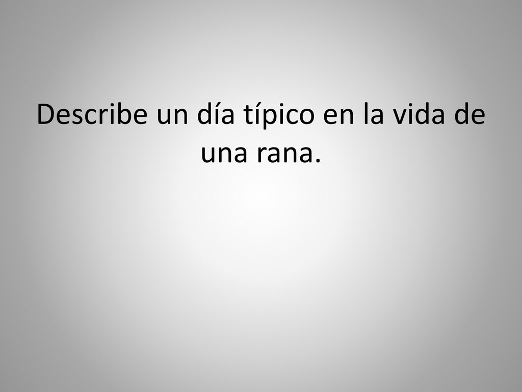 Describe un día típico en la vida de una rana.
