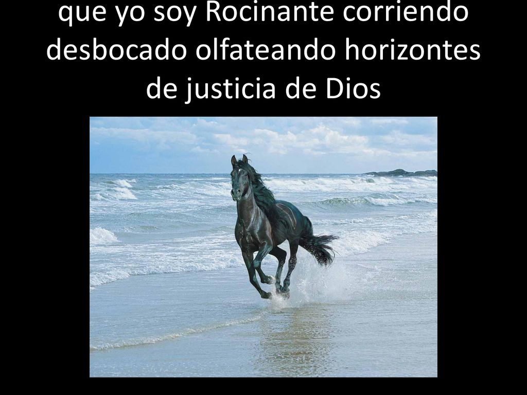 que yo soy Rocinante corriendo desbocado olfateando horizontes de justicia de Dios