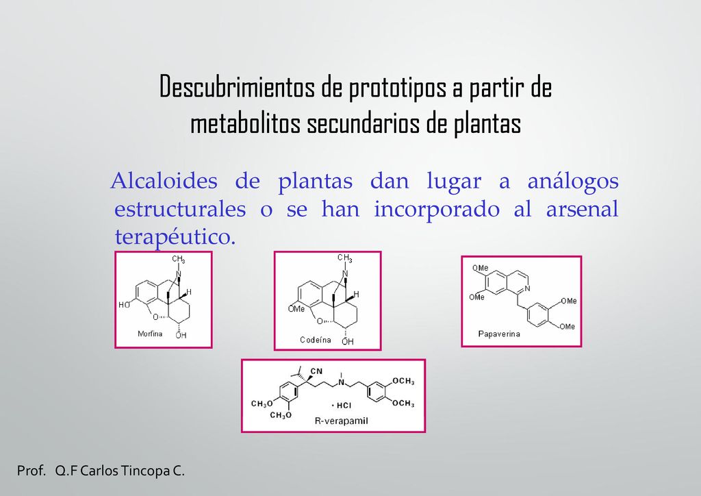 Descubrimientos de prototipos a partir de metabolitos secundarios de plantas