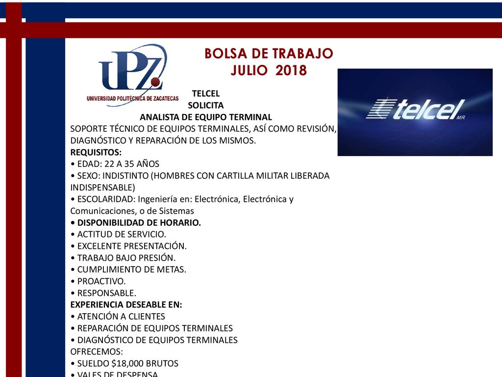 ANALISTA DE EQUIPO TERMINAL