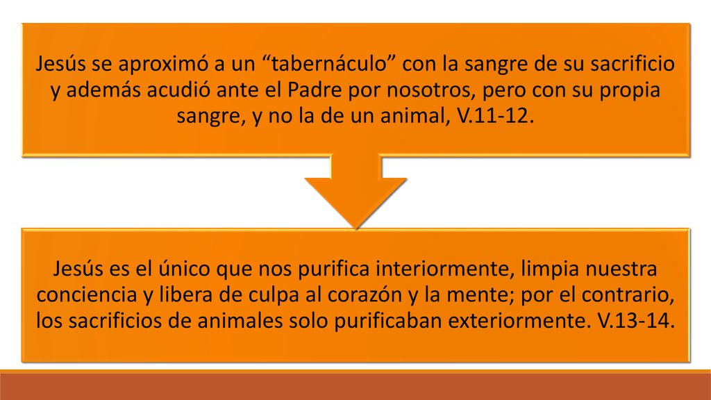 Jesús es el único que nos purifica interiormente, limpia nuestra conciencia y libera de culpa al corazón y la mente; por el contrario, los sacrificios de animales solo purificaban exteriormente. V