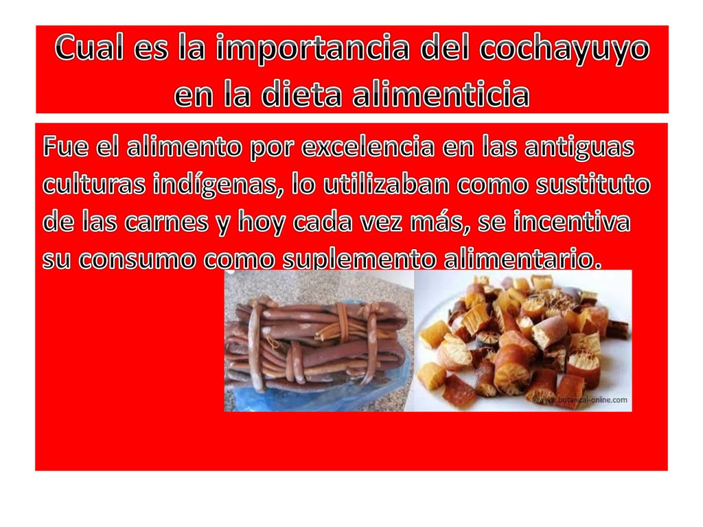 Cual es la importancia del cochayuyo en la dieta alimenticia